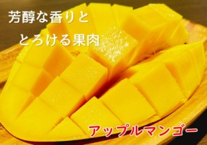 カットしたアップルマンゴー。鮮やかな果肉と芳醇な香り、とろけるような食感が魅力の人気品種