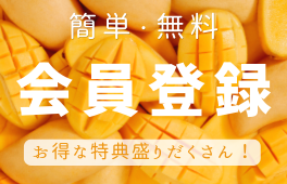 会員登録で300ポイントプレゼント！ お買い物100円ごとに1ポイント還元