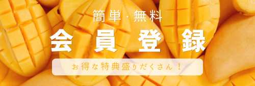 会員登録で300ポイントプレゼント！ お買い物100円ごとに1ポイント還元