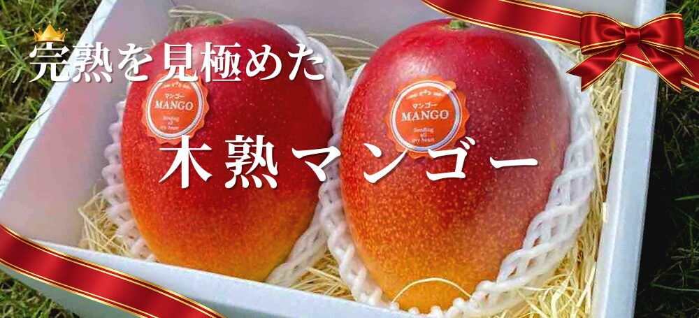 完熟を見極めたマンゴーを、大切な方への贈り物やご自宅用としてお届けします。