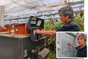 マンゴー栽培の温度管理設備を点検するフルーツランドきまがせの生産者