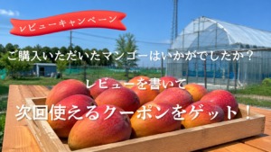 レビューを投稿してクーポンをゲット！
