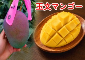 玉文マンゴーの果実と花咲カットした果肉