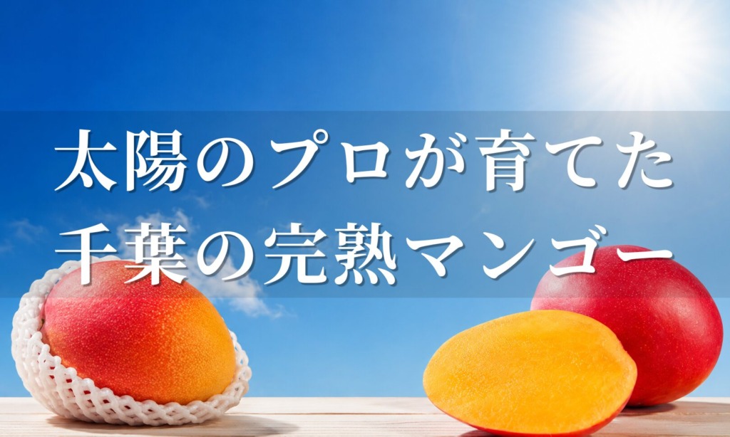 太陽のプロが育てた千葉の完熟マンゴーの商品バナー（青空と完熟マンゴーのイメージ）