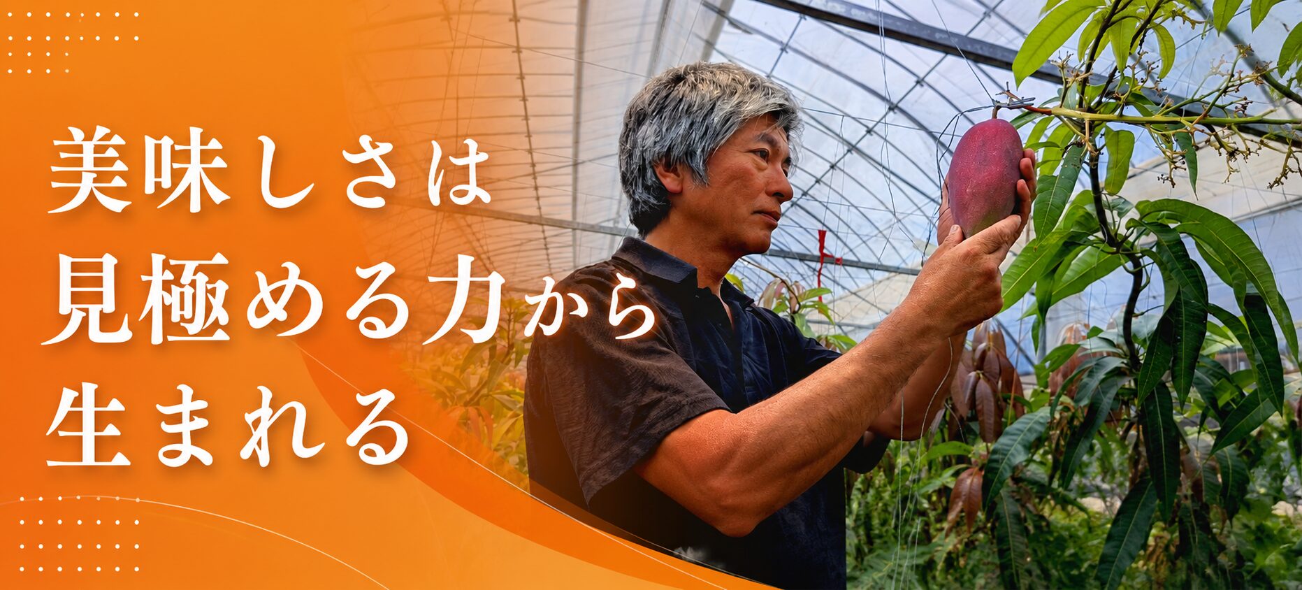 フルーツランドきまがせのハウス。ここで旬の果物を栽培しています