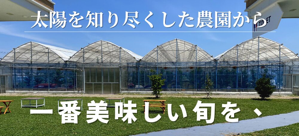 自分たちで建てたハウスで、マンゴーをはじめ四季折々の果物を栽培しています。果実が最も美味しくなる環境づくりからこだわり、一年を通して丁寧に育てています。