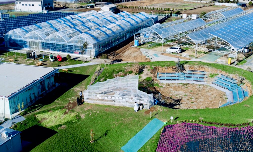 千葉県野田市木間ケ瀬にあるフルーツランドきまがせの農園全景