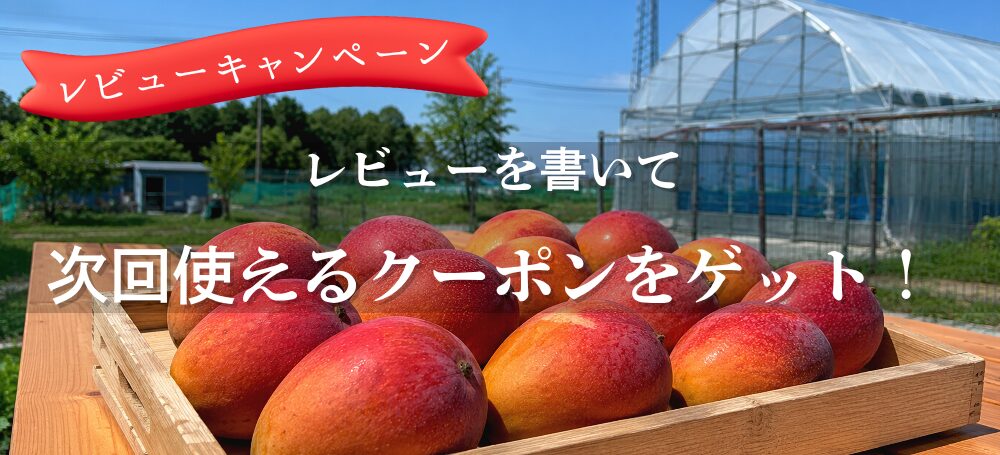レビューを書いて、次回使えるお得なクーポンをゲット!