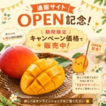 通販サイトOPEN記念キャンペーンをお知らせする、きまがせマンゴーの販促画像