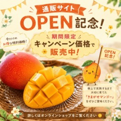 通販サイトOPEN記念キャンペーンをお知らせする、きまがせマンゴーの販促画像