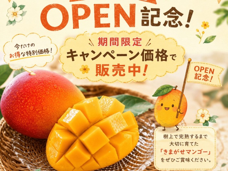 通販サイトOPEN記念キャンペーンをお知らせする、きまがせマンゴーの販促画像