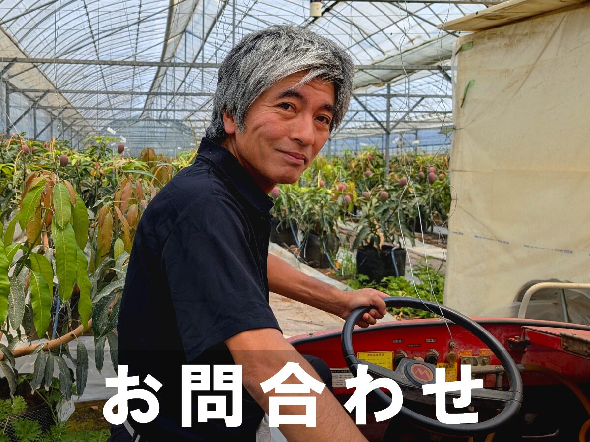 お問合せ